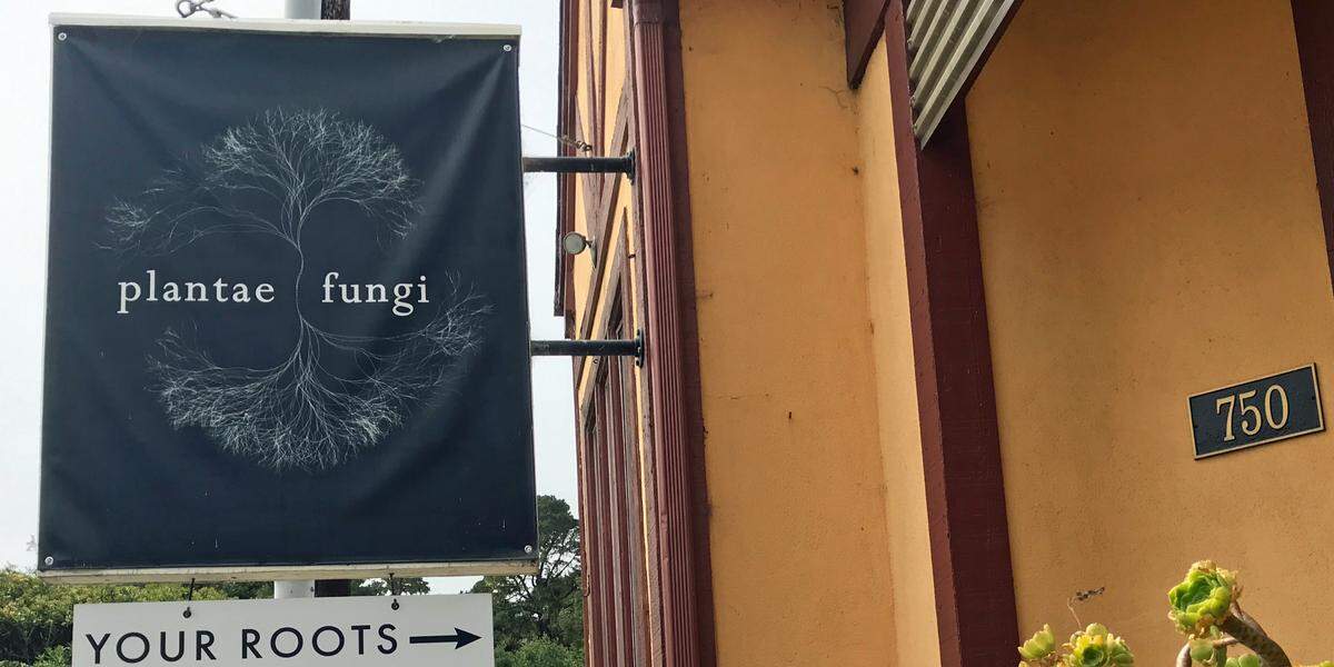 The sign at Cambria’s Plantae & Fungi store urges customers to “follow their roots.”