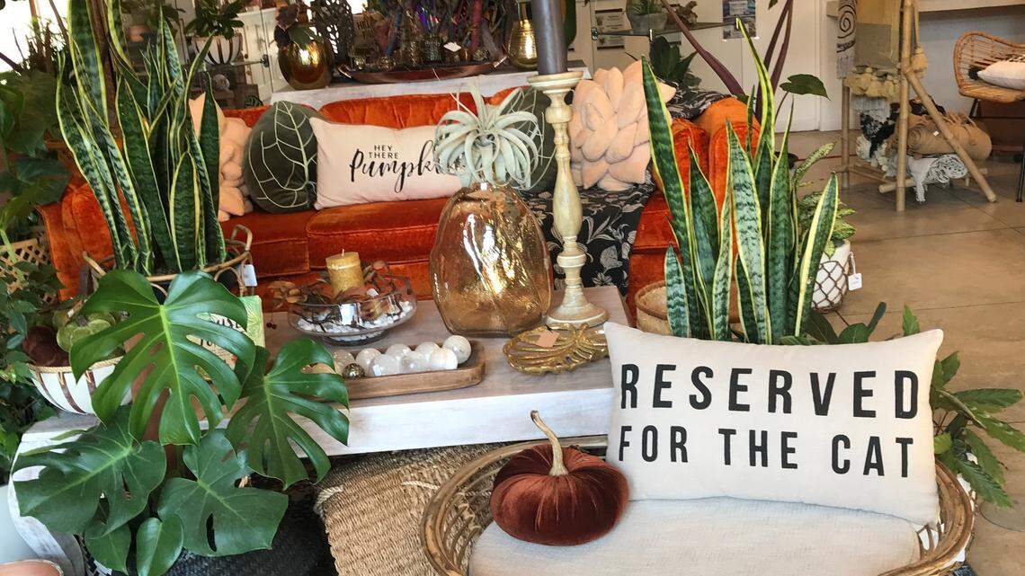 New SLO County nursery specializes in lush indoor plants and home decor. Take a look inside