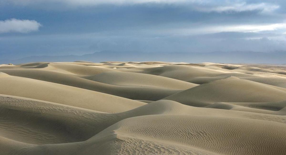 The shacks of the Dunites have long disintegrated or been buried under the sands of the Oceano Dunes.