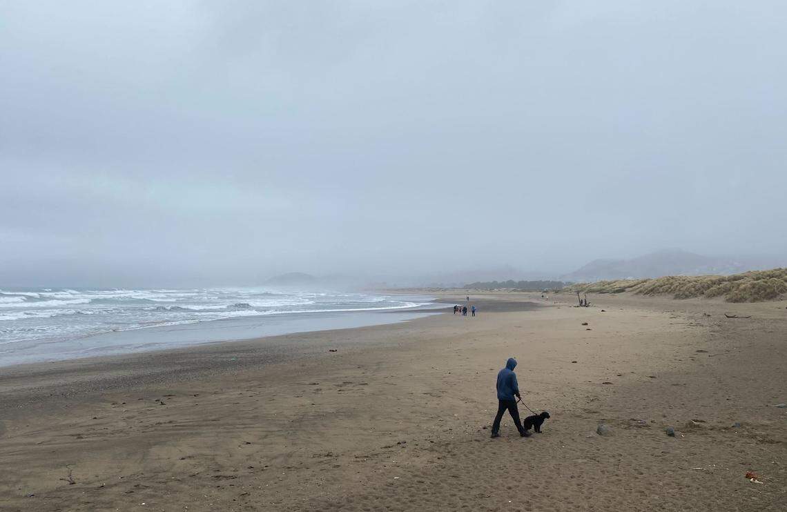 Matt Cullis and his dog, Bali, strolled along Morro Strand on Feb. 13, 2025, during a break in the rain.&nbsp;