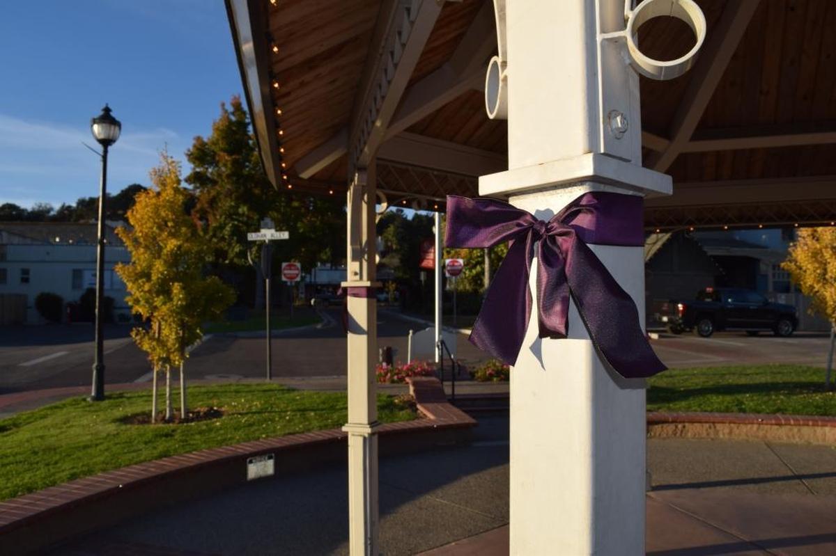 Arroyo Grande residents tied purple, gray and fox-print ribbons around The Village to memorialize the euthanized fox “Foxy” in November 2017.