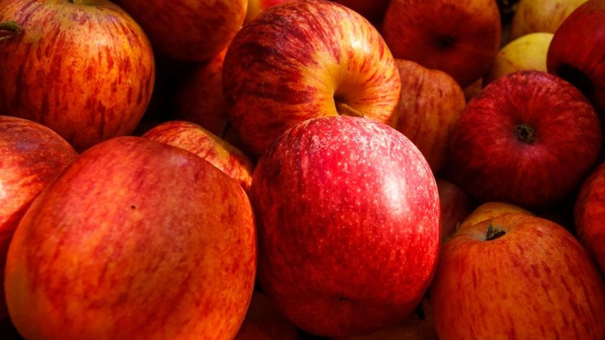 The Apples and Honey Festival will be held from 10 a.m. to 5 p.m. Sunday at Mitchell Park in San Luis Obispo.