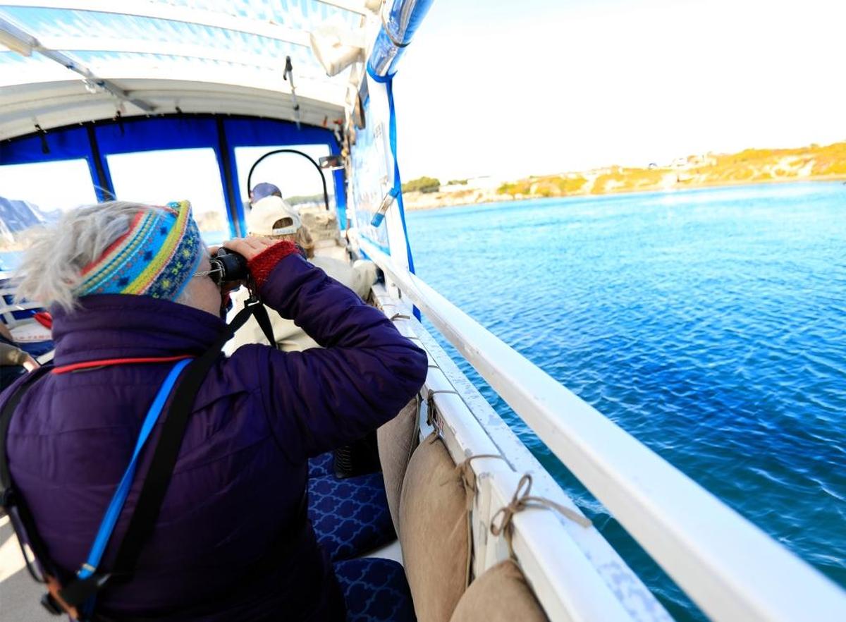 One of the 2017 Morro Bay Winter Bird Festival’s boat tours, “Morro Bay Up Close,” was led by State Parks Docent John McCabe and Capt. Stew Hamby of Captain Stew’s Bay Cruise. Clare Strohman of Los Osos checks for shore birds with binoculars during the boat tour.