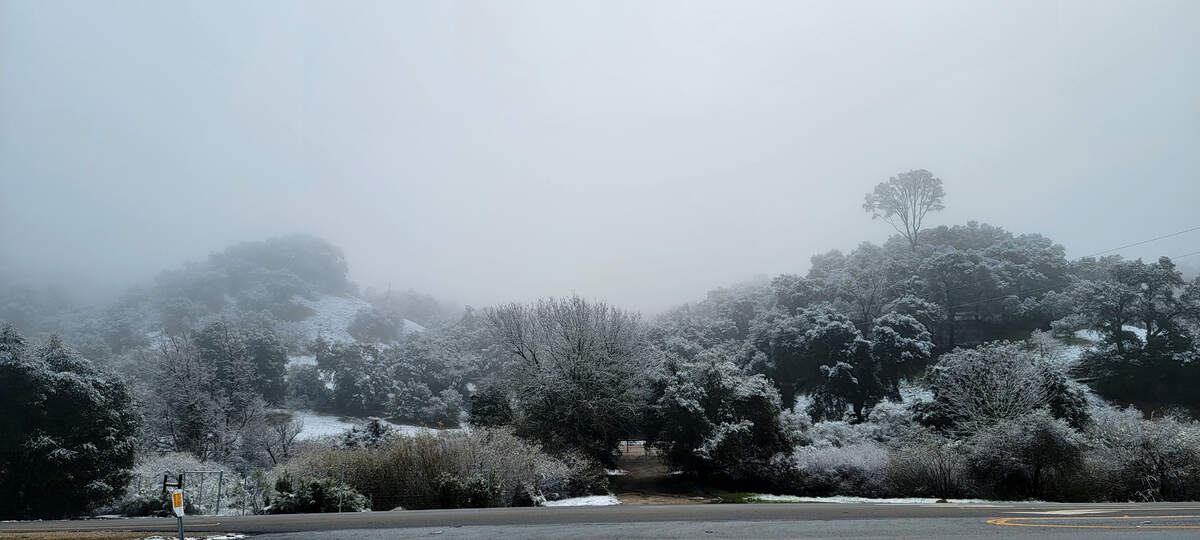 The top of the Cuesta Grade was a snowy scene on Saturday morning, Feb. 25, 2023.