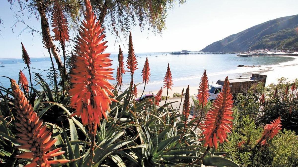 The Harbor Terrace campground, lodge and cabins will offer panoramic views of Port San Luis and Avila Beach.
