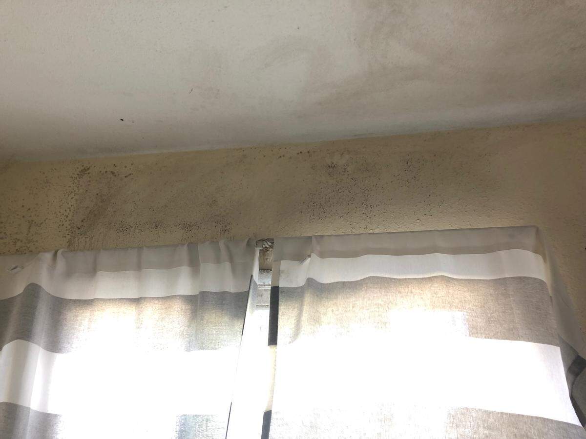 A Grand View tenant’s walls are covered in black mold.