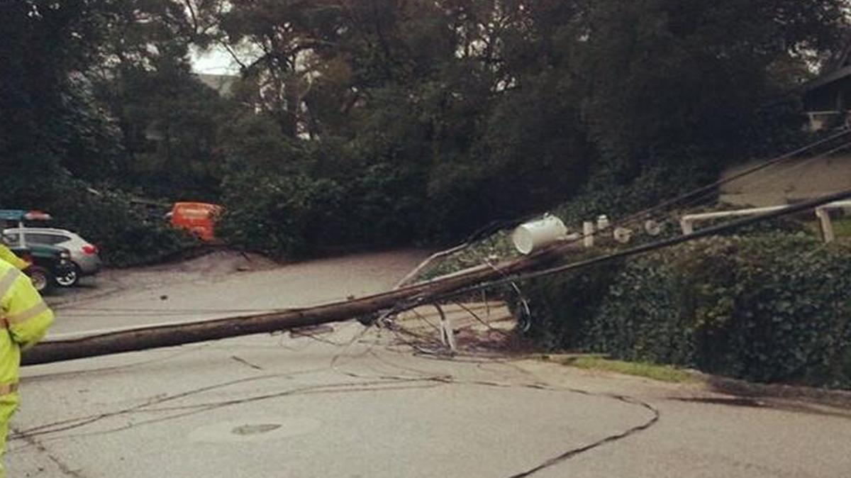 A tree and a power pole fell across Tunitas Avenue in Atascadero on Feb. 21, 2017.