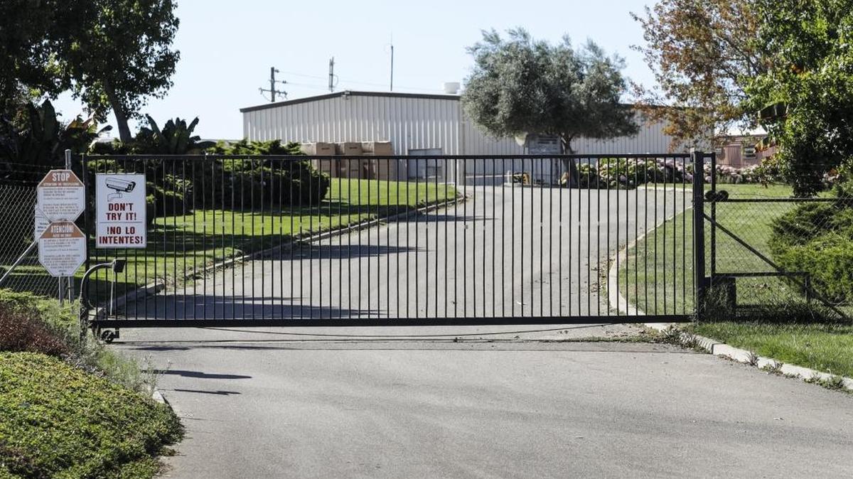 The Sheriff’s Office is investigating the former site of Clearwater Nursery in Nipomo, where 51,000 marijuana plants were discovered in September.