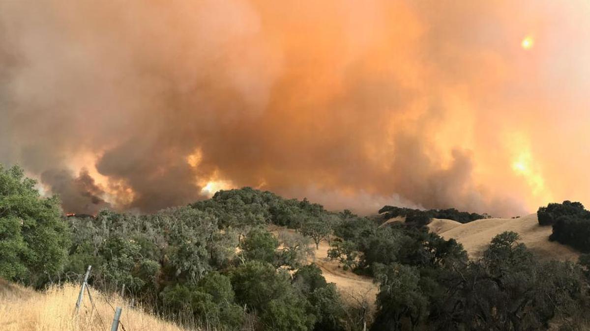 The east front of the Whittier Fire on Saturday, July 8, 2017.