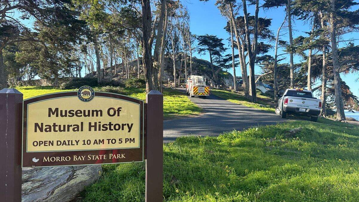 Firefighters investigated reports of smoke at the Morro Bay Natural History Museum on Wednesday, Feb. 15, 2023.