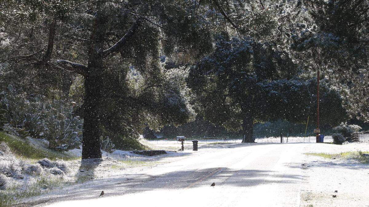 Snow melts and falls out of trees on Parkhill Road, where an inch or more fell overnight Feb. 23, 2023.