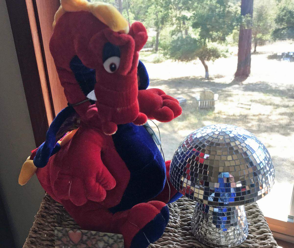 This “disco-ball mushroom” is what started the “feel like a kid again” movement for columnist Kathe Tanner. She wants to know what makes you feel young and carefree.