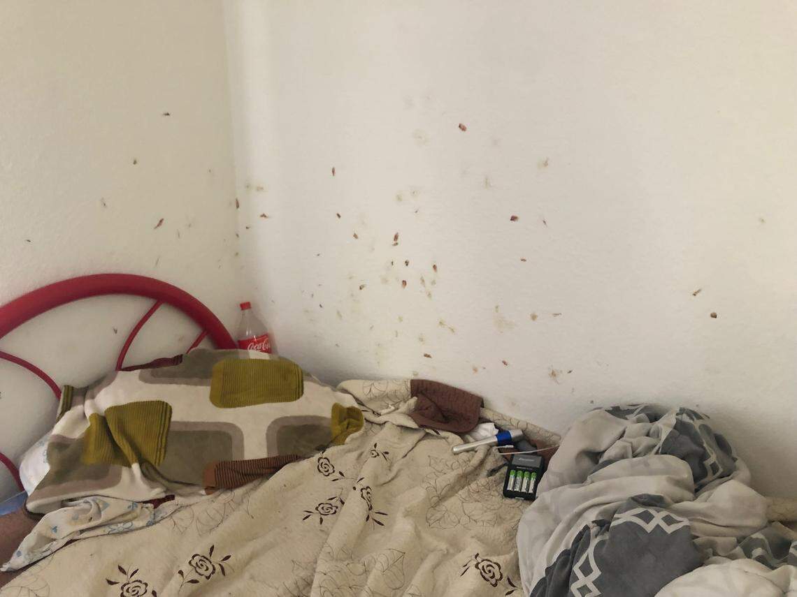 A Grand View tenant’s wall shows splotches of rusty red blood where bed bugs were smashed. Tenants were forced to move out of the Paso Robles complex after the landlords refused to make improvements and sold the property.