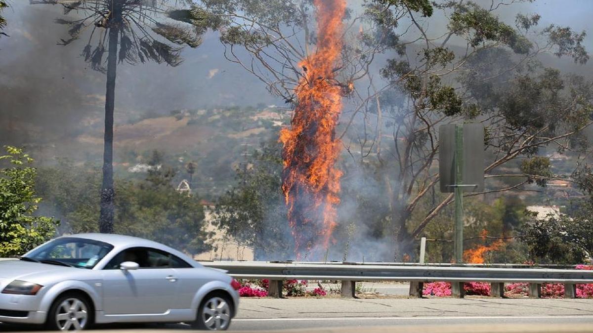 A fire that may have started in a homeless camp along Highway 101 charred three palm trees Thursday, July 20, 2017 in Santa Barbara.