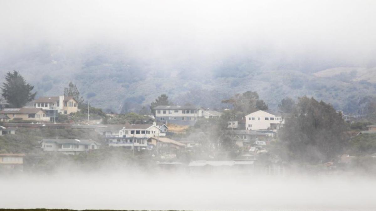 June’s typical weather pattern has brought a heavy marine layer to the coast in recent days. Here, layers of fog obscure all but a strip of view off over Los Osos.