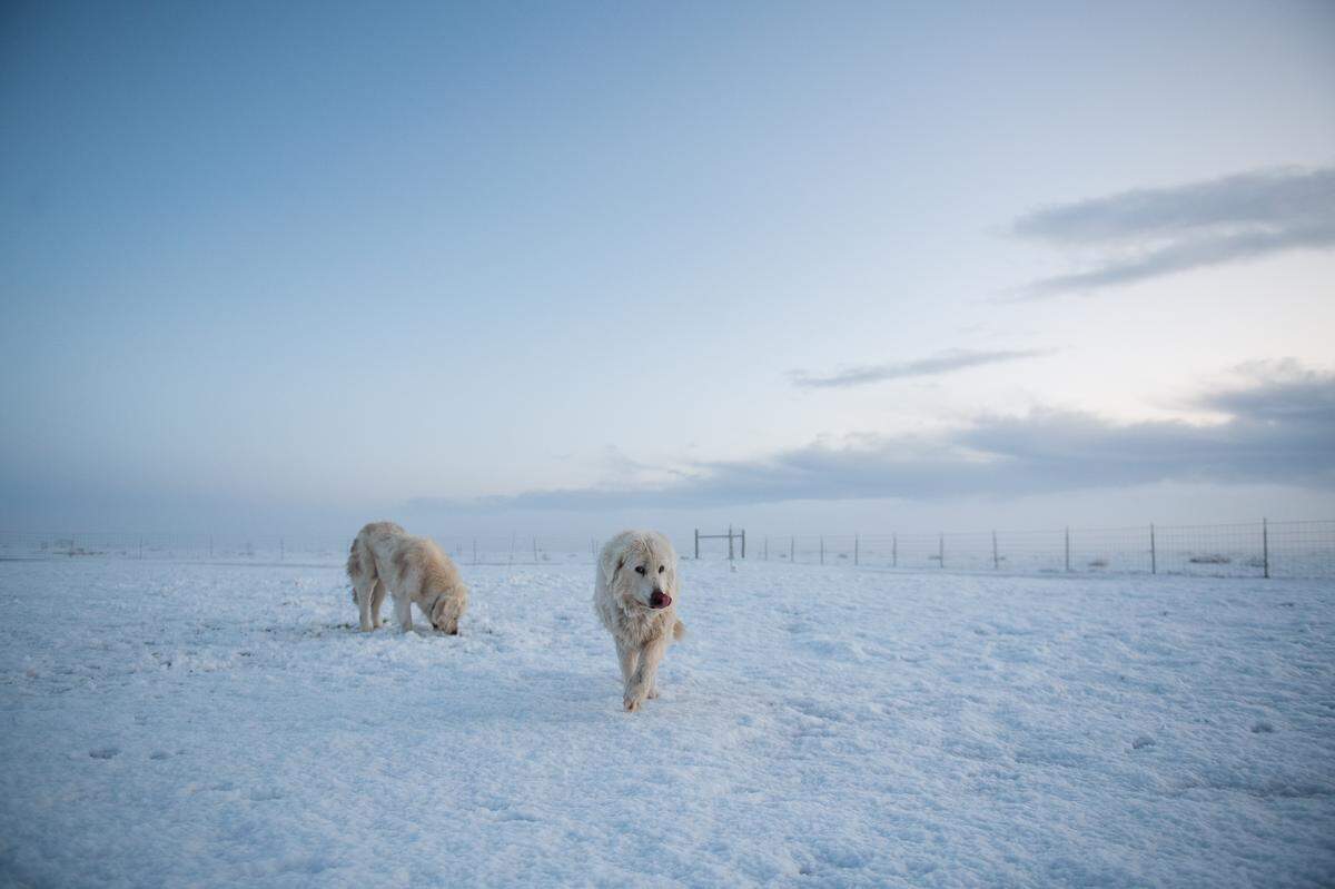 Heavy overnight snow turned the California Valley and Temblor Range near the Carrizo Plain into a scene that looks more like the Arctic than San Luis Obispo County on Feb. 25, 2023.