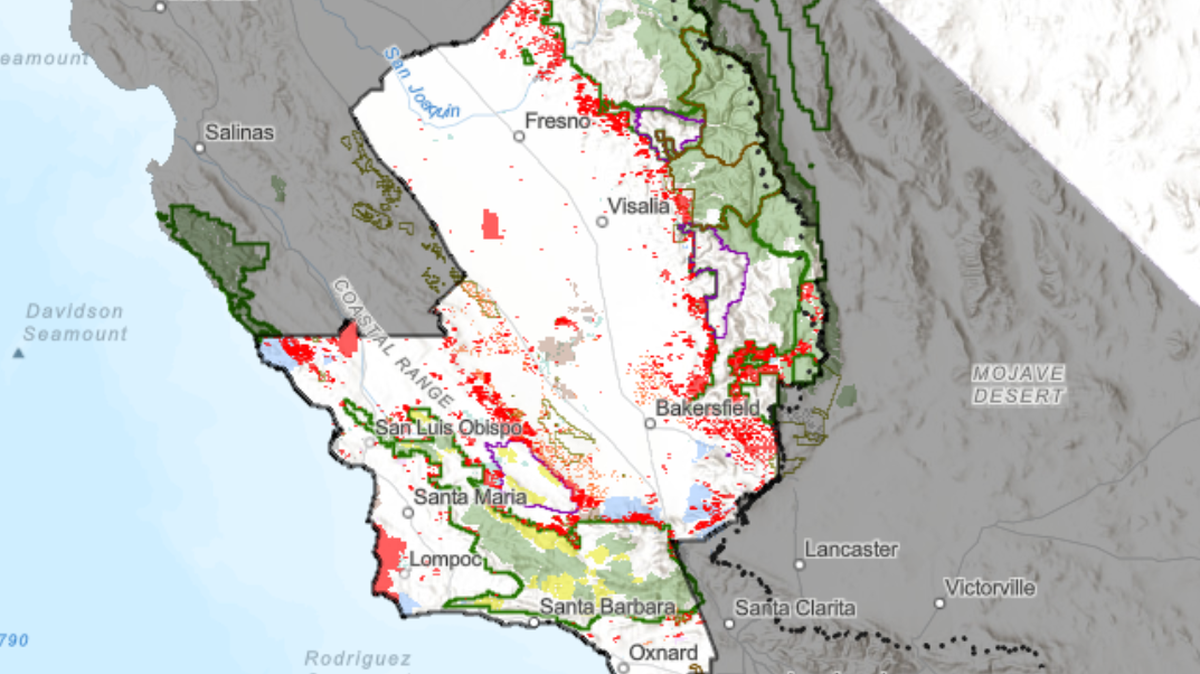 The Bureau of Land Management announced plans to evaluate opening up the areas in red to oil and gas leasing, according to the Los Padres ForestWatch. 