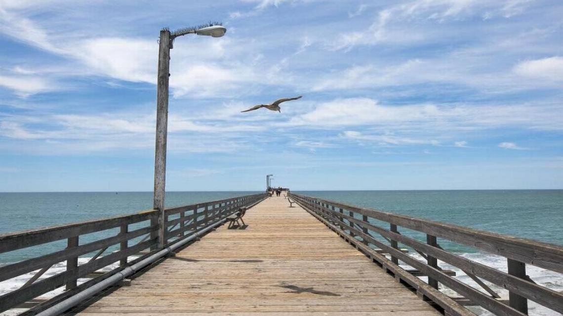 Get a 360-degree view of the Cayucos Pier in this video