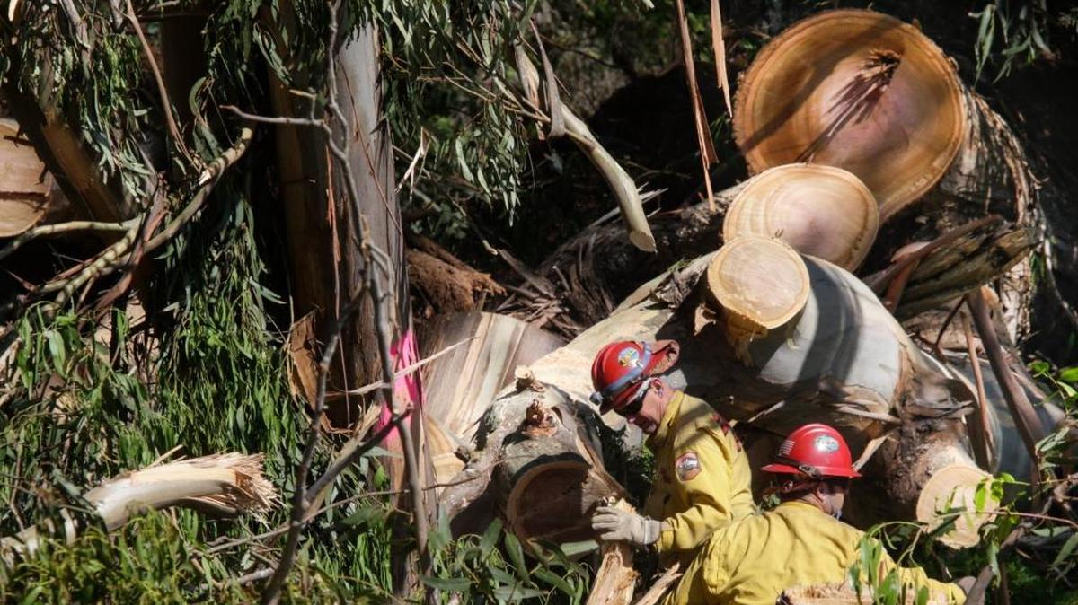California State Parks plans to conduct a curtain burner fire operation Monday, December 4, 2017, in an effort to clean up debris in the Morro Bay State Park campground that presents a fire danger to nearby residents.