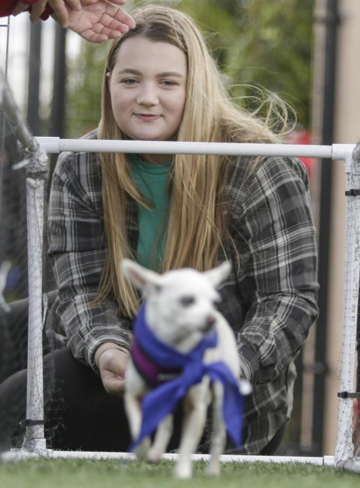Woods volunteer Sara Blawski calls, but Lucy has other ideas. Lucy is adoptable at Woods Humane Society.