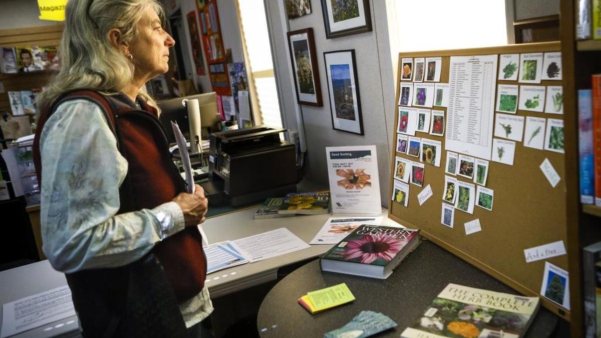 Tamara Kleemann looks over the seeds offered at the Santa Margarita branch of the San Luis Obispo County Library, which launched its seed-lending library Saturday.