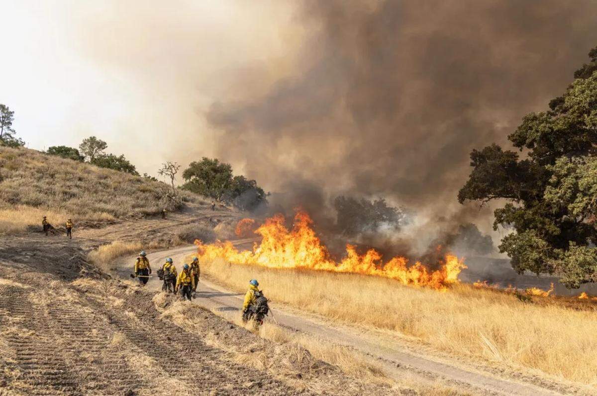 Crews conduct firing operations during the Lake Fire in the eastern Santa Ynez Valley in July 2024.