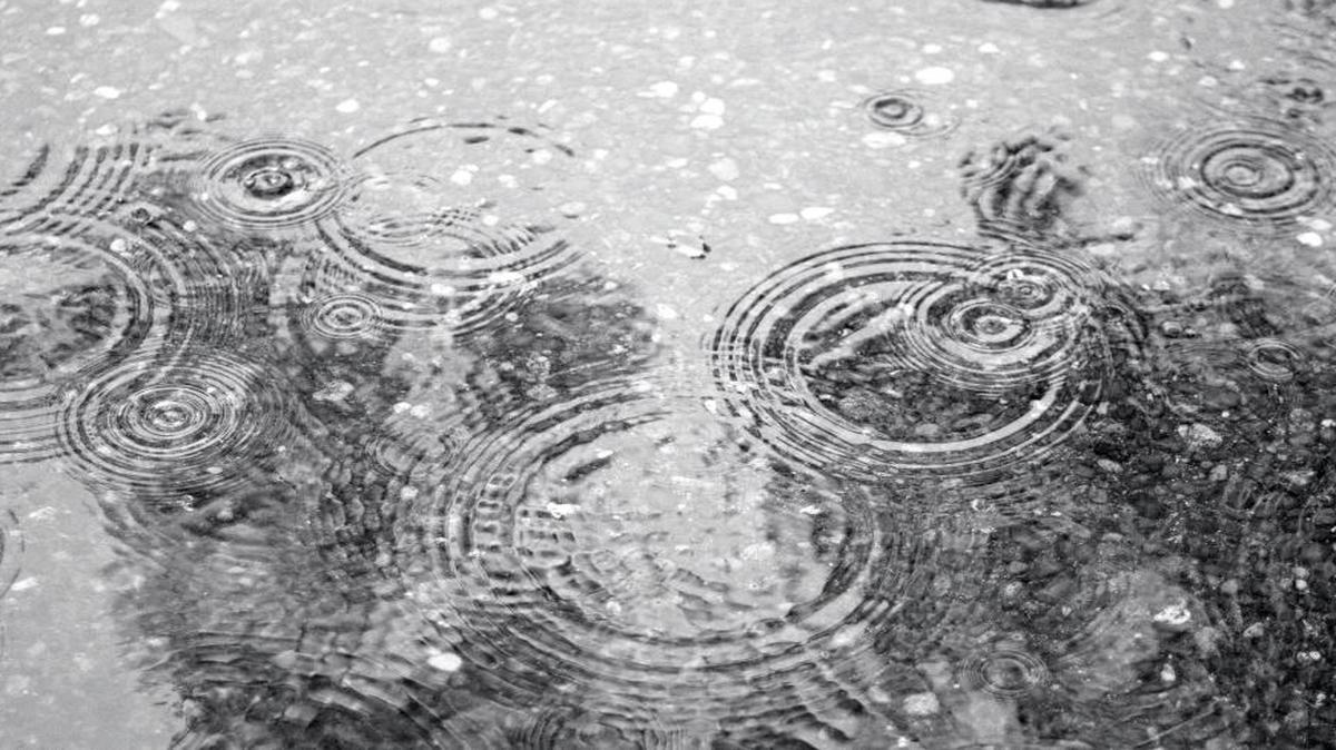 Bring rain drops to life at The San Luis Obispo Children’s Museum with their art studio activity — drip art/3D rain drops.