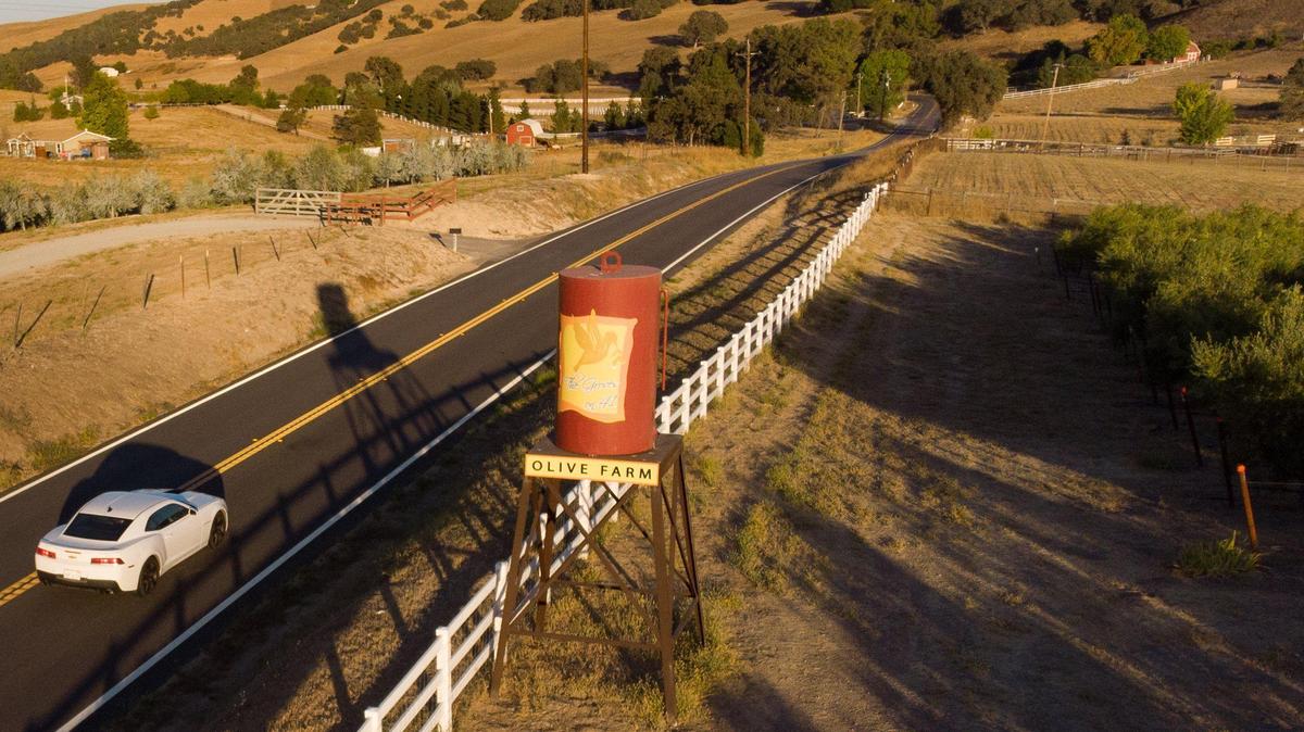 The Groves on 41 olive farm sign can be seen by drivers traveling down Highway 41 near Templeton. San Luis Obispo County staff want the owners to move the sign back from the road, go through a lengthy permitting process or remove it.