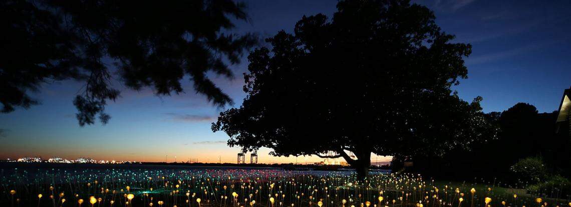 The Field of Light installation on display in 2014 at the Hermitage Museum and Gardens in Norfolk, Virginia.