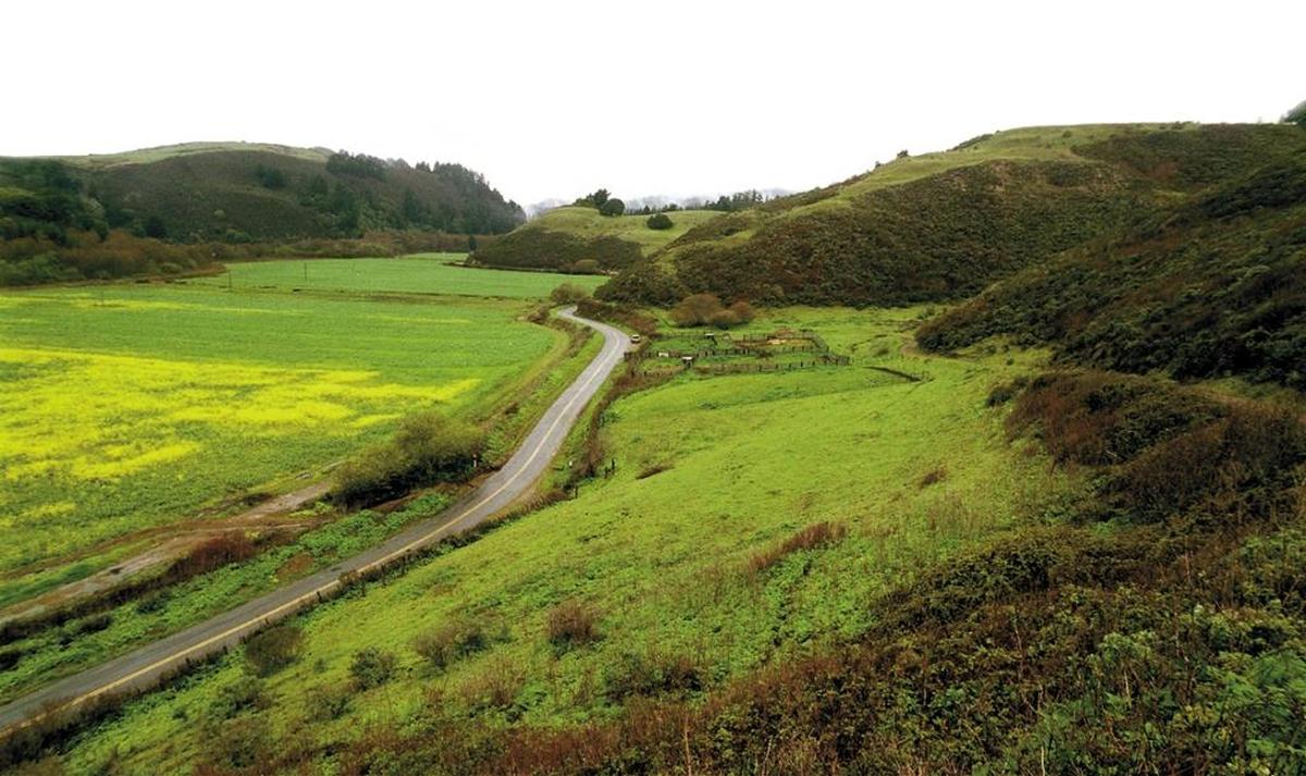 Swanton Pacific Ranch covers 3,200 acres about 12 miles north of Santa Cruz.