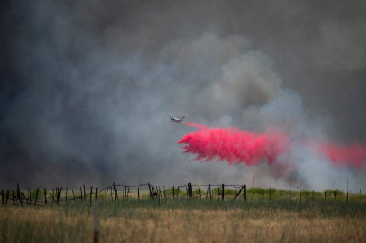 The Bear Fire burned 1,410 acres in California Valley in San Luis Obispo County on June 12, 2024.