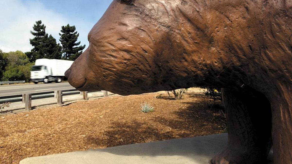 One of the signature bear statues that greet visitors at they enter Los Osos.