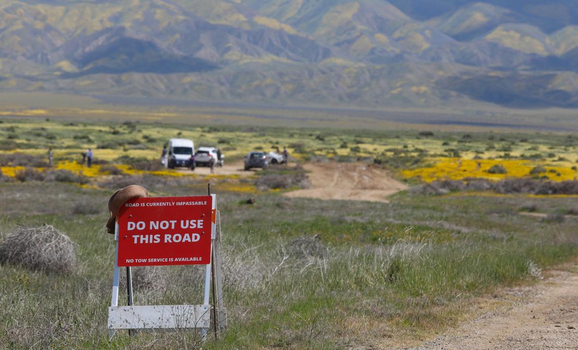 Cars stop on Simmler Road near Soda Lake in the Carrizo Plain National Monument before the mud gets too deep to cross. The monument is full of wildflowers blooming along Soda Lake Road, and there are plenty of places to view them along Highway 58, as well.