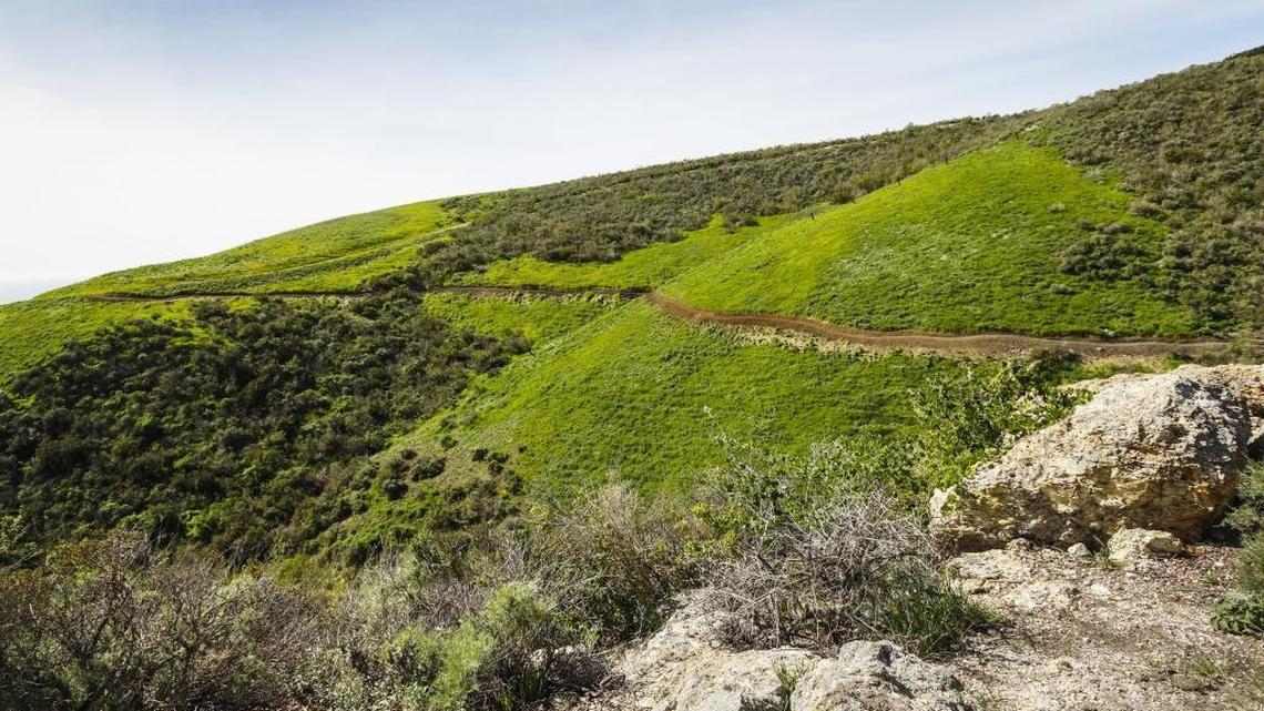 A freshly cut trail winds along one of the slopes of the 880-acre Pismo Preserve, turned green by winter rains.