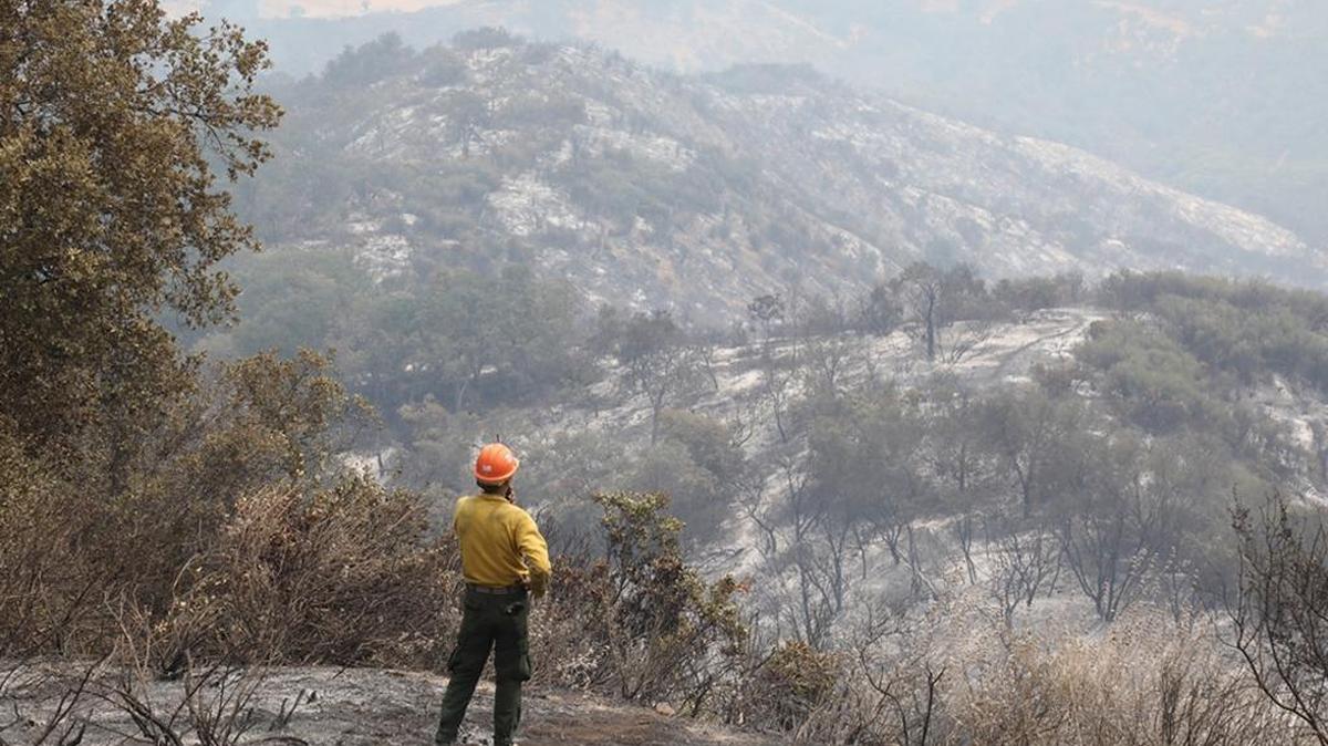 A Los Padres National Forest hotshot monitors a hand crew below during the Alamo Fire on Monday.