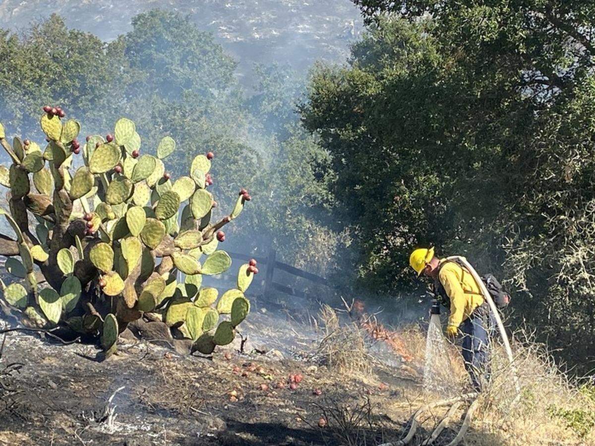 A firefighter works on to extinguish flames from a vegetation fire off Lizzie street in San Luis Obispo on Oct. 30, 2023. The fire apparently started behind the FFA farm at San Luis Obispo High School. Residents nearby were ordered to evacuate.