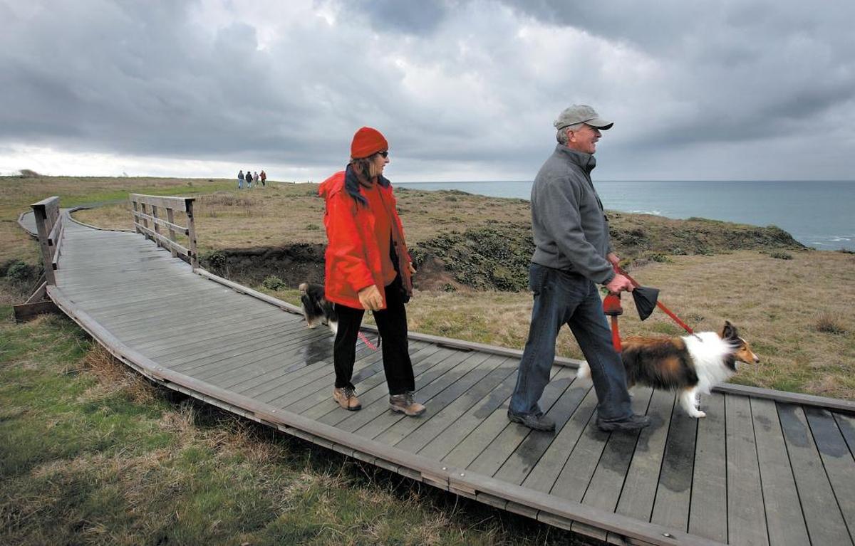 Walkers enjoy the Bluff Trail at the Fiscalini Ranch Preserve in Cambria.