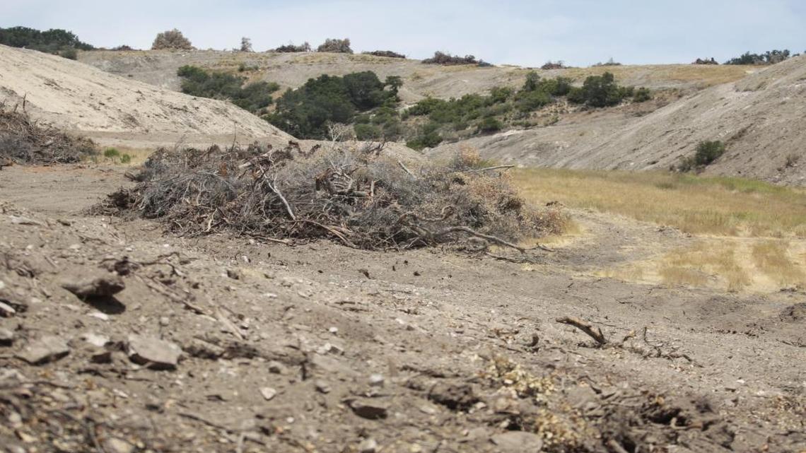 The Justin Vineyards and Winery property in June 2016, after thousands of trees were removed from its hillsides.