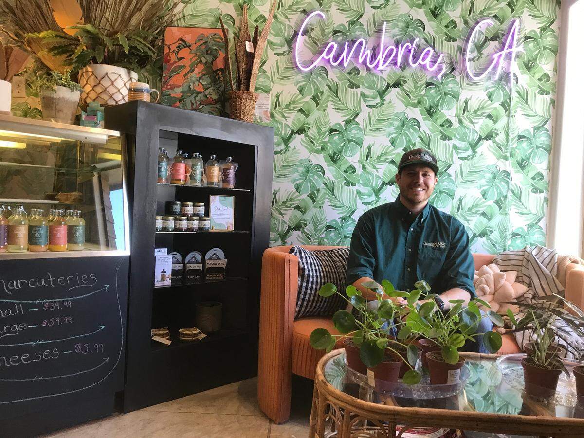 Cambria Nursery Downtown manager Mike Arnold poses for a picture on Sept. 6, 2022.