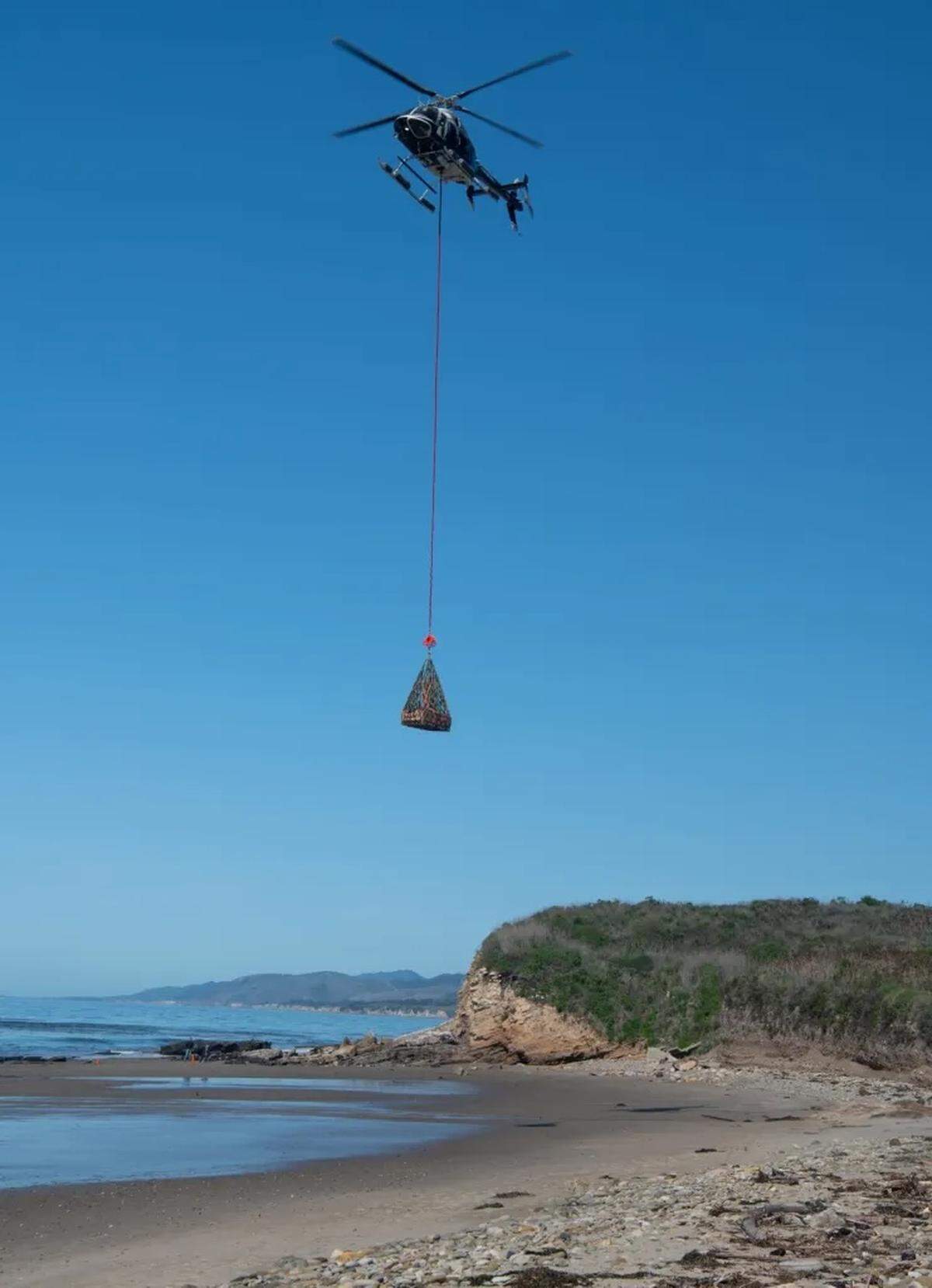 Pieces of a whale fossil along the Gaviota Coast were transported by helicopter to Refugio State Beach. The pieces were then sent to the Santa Barbara Museum of Natural History.