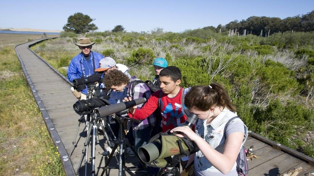 Docent Jerry Kirkhart leads a group of Los Osos Middle School students through a lesson in bird spotting and identification at the salt marsh boardwalk near the Morro Bay Marina. Enjoy a stroll while identifying birds on the boardwalk Monday, May 15, 2017.