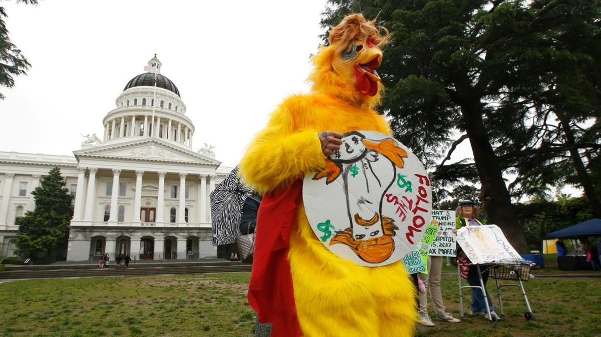 Dressed as the “Real Chicken Don,” Shawn Frye joins others in calling for President Donald Trump to release his tax returns on Wednesday at the Capitol in Sacramento. Tax March Sacramento activists are planning to join others in a protest April 15.