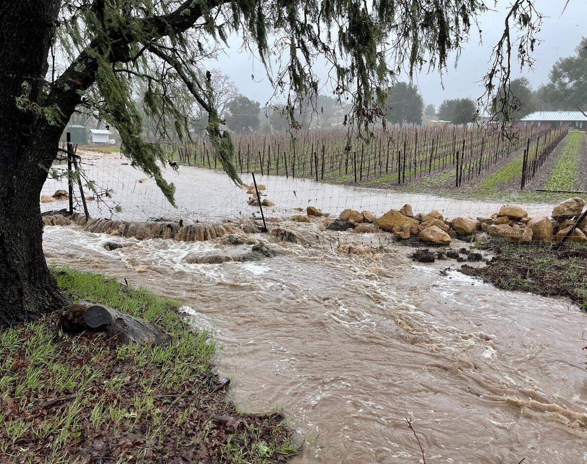 Heavy rains flood a vineyard in the Adelaida area of Northern San Luis Obispo County the morning of March 10, 2023.