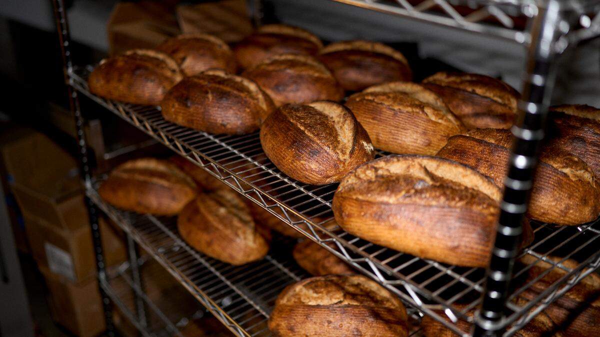 Slow-fermented, organic sourdough bread cools at Bread Bike bakery in San Luis Obispo. 