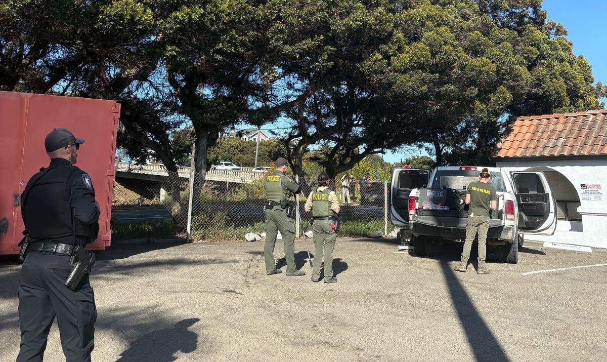 Fish and Wildlife officers keep tabs on a bear that wandered into Pismo Beach on July 7, 2025.