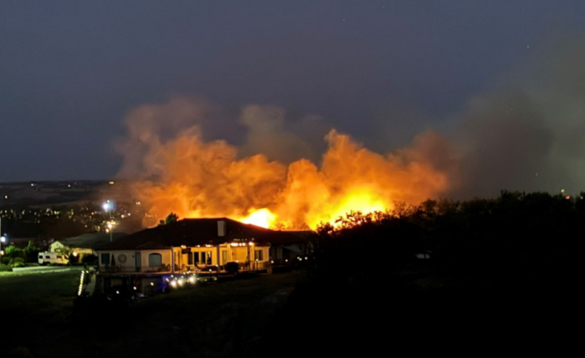 Illegal fireworks may have sparked a vegetation fire in Paso Robles on June 30, 2024.