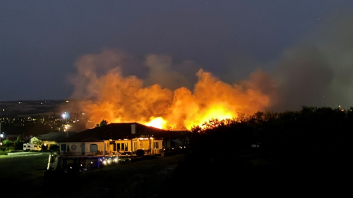 Illegal fireworks may have sparked a vegetation fire in Paso Robles on June 30, 2024.