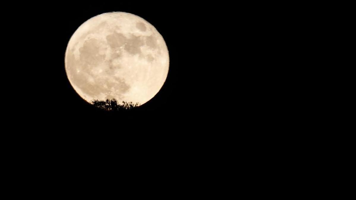 Supermoon rises above an oak tree near Creston Road outside of Paso Robles. This week, the moon is closer to the Earth than at any time since January 1948. The supermoon phenomenon is caused by the satellite’s elliptical orbit around the Earth. The supermoon appears about 14 percent larger in diameter and 30 percent brighter than when it’s at its farthest distance from Earth. The next supermoon will occur in 2034, when the moon will be even closer than it was Monday.