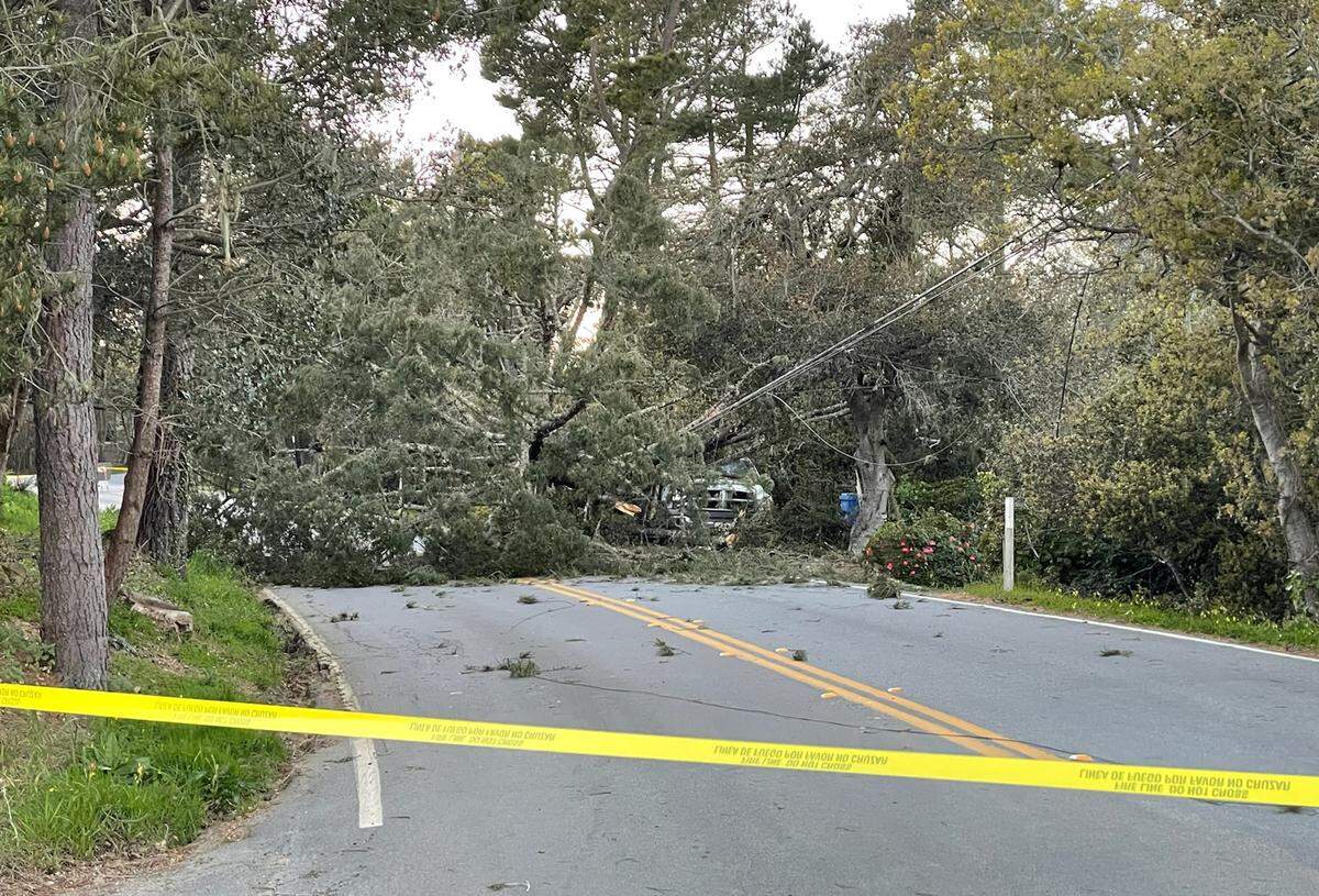 A tree fell onto power lines on Ardath Drive in Cambria on Tuesday, Feb. 21, 2023.
