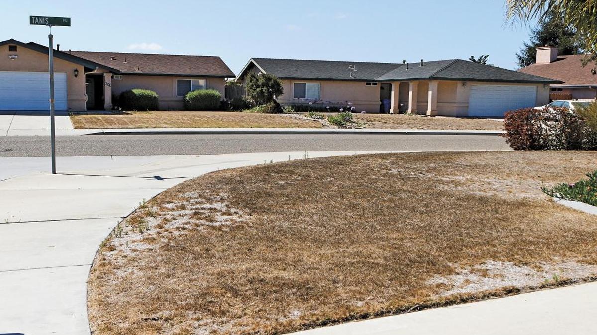 Several homes in Nipomo have let their lawns go brown amid the drought like these from July 2015 at the intersection of Tanis Pl. and Elvira Way.